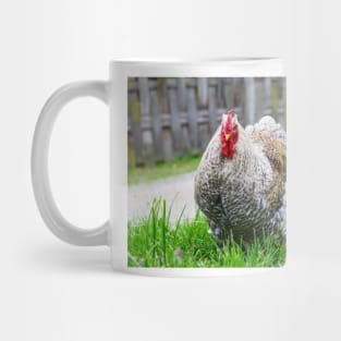 Cochin chicken Mug